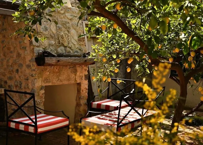 Merian's House 페티예