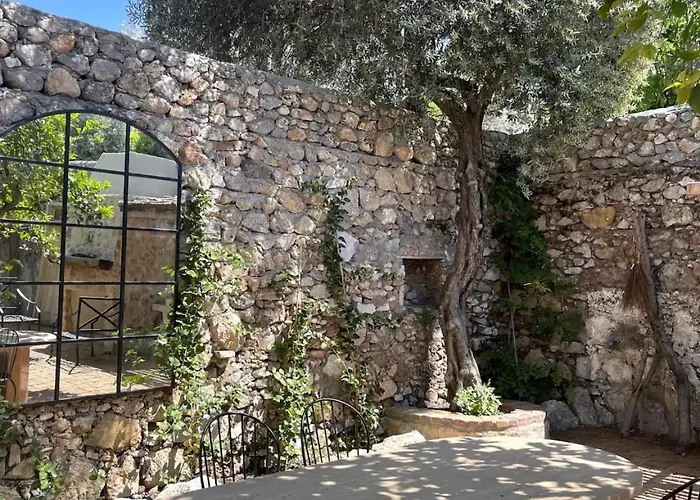 Merian's House * 페티예