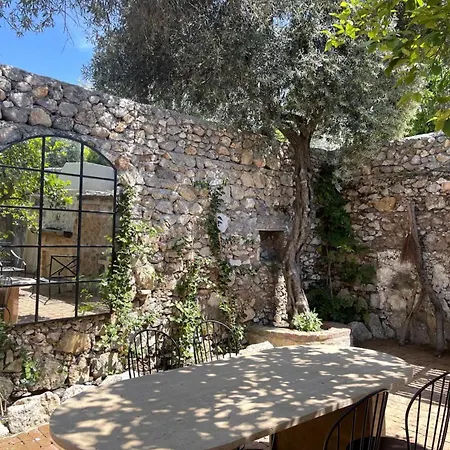 Merian's House * Φετιγιέ