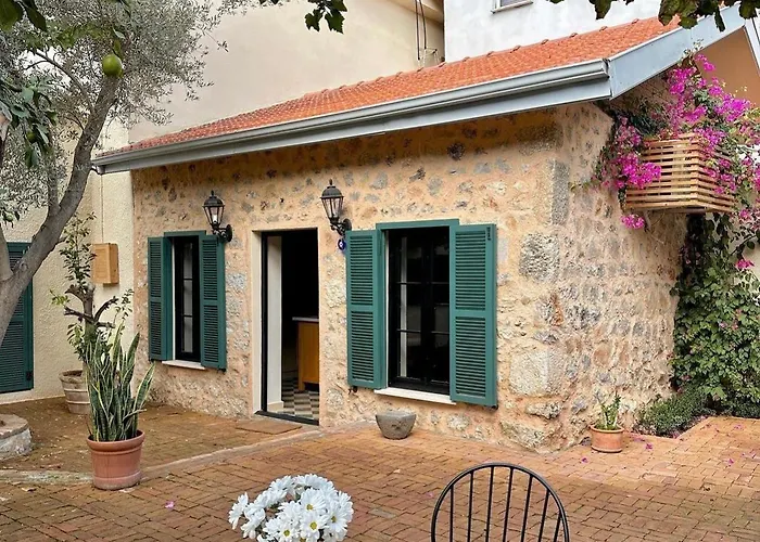 فيلة Merian's House