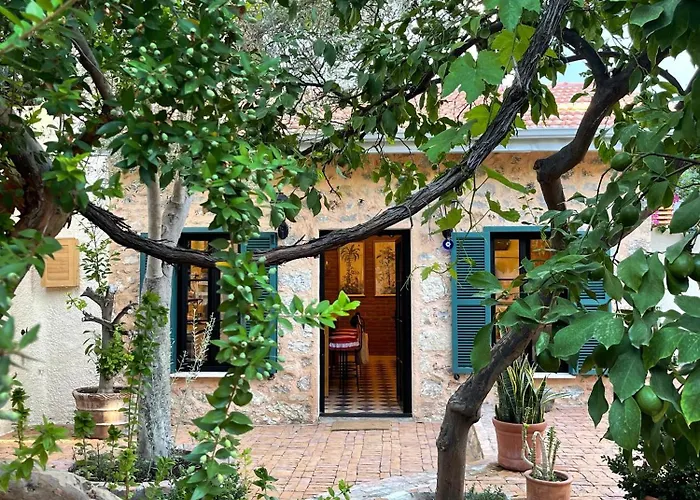 فيلة Merian's House