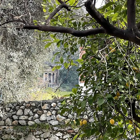 Villa Merian's House