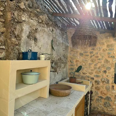 ヴィラ Merian's House フェティエ