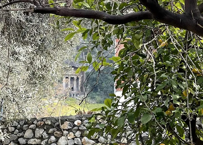 Вилла Merian's House